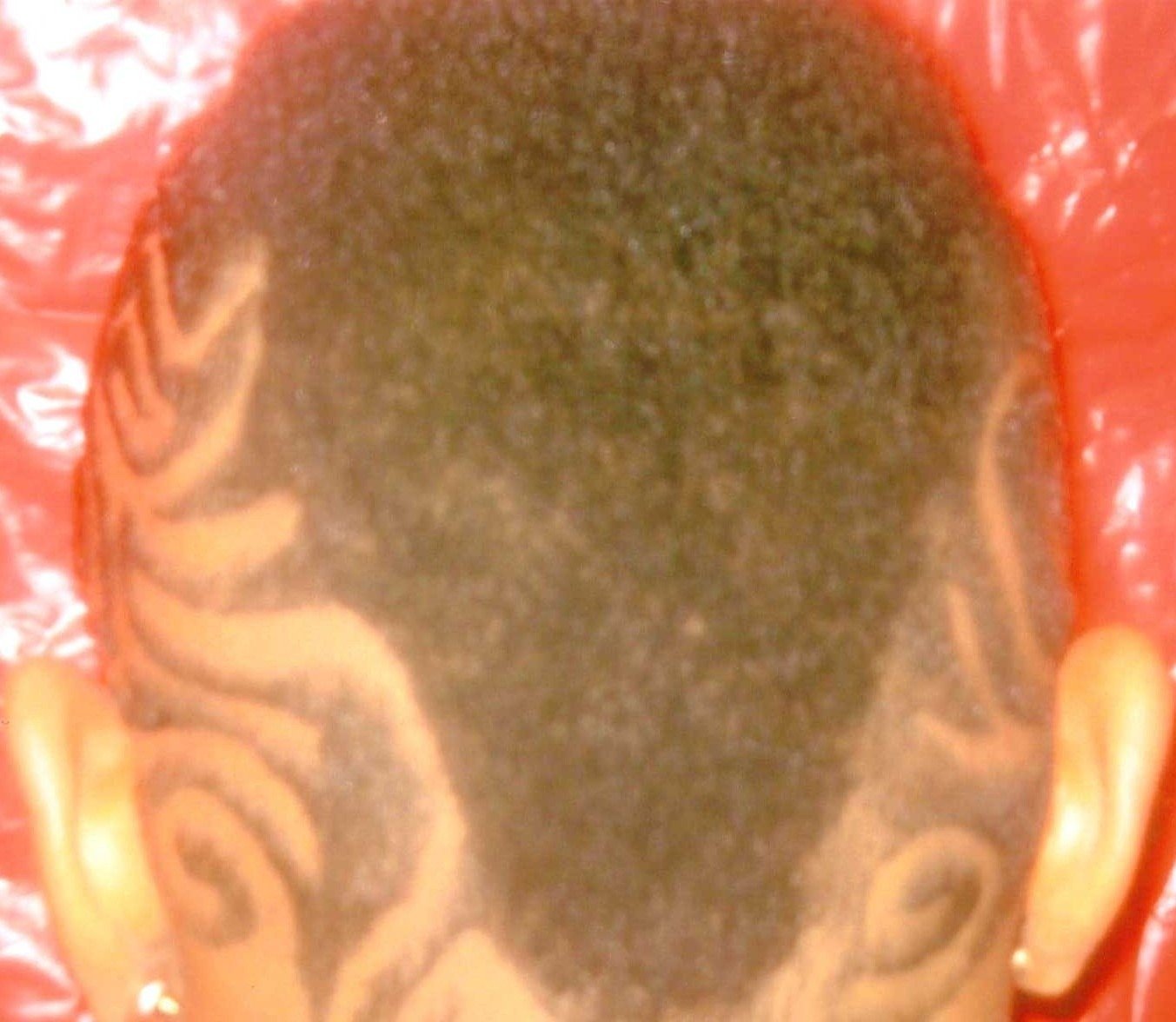 Go Getta Video Pics (205)